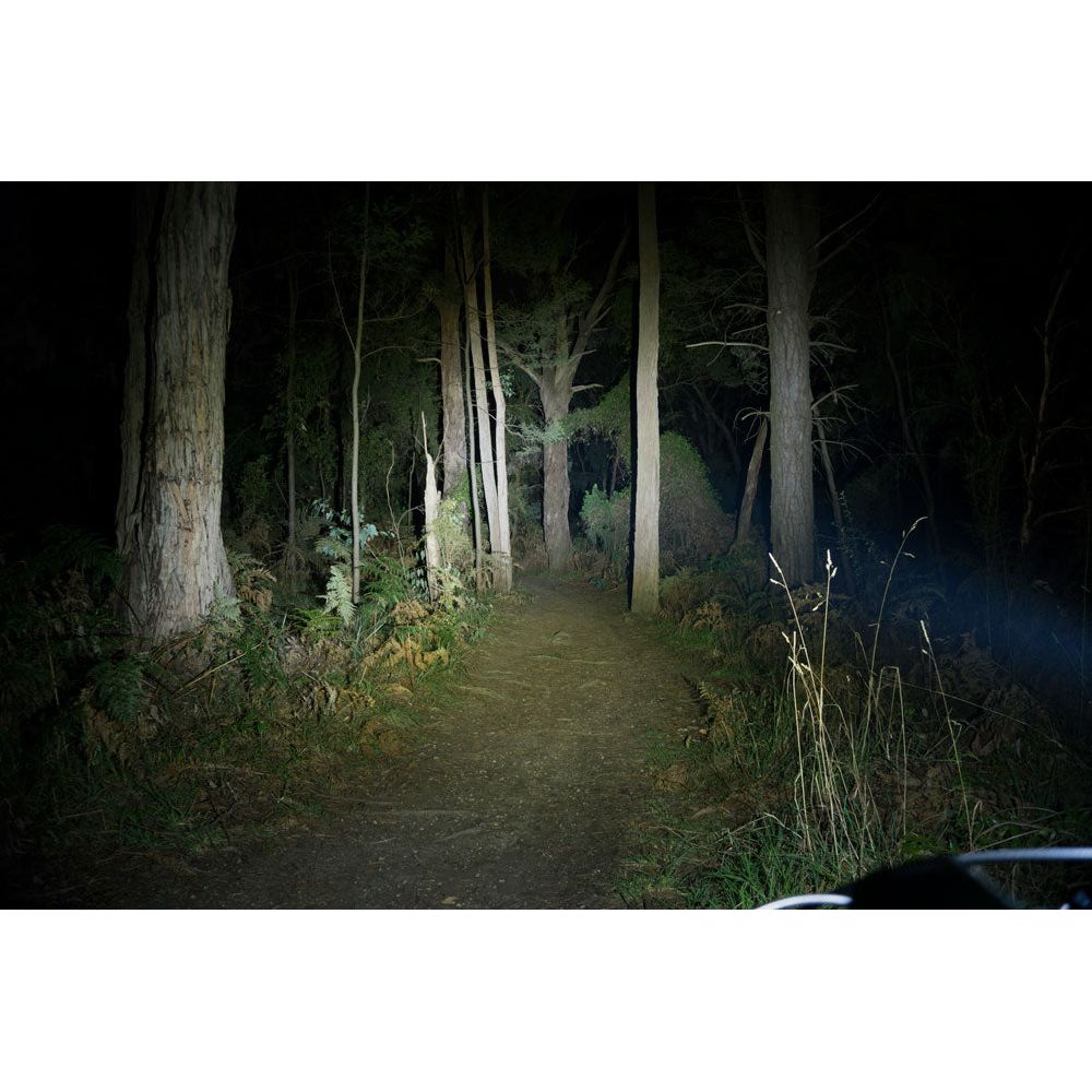 Cleanskin store mtb lights